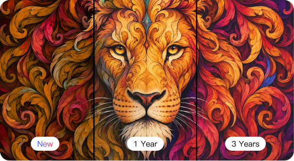 Long-Lasting Vivid Colors