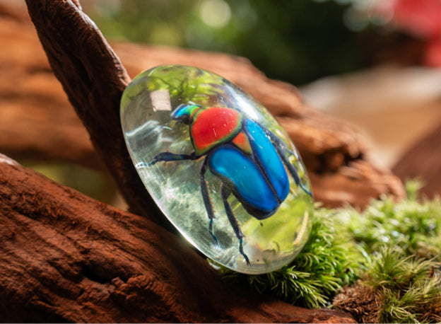 06.Post-processing OptionsRefine your full-color 3D model with optional post-processing. Light sanding helps smooth selected areas, while a clear protective coat—in either a gloss or matte finish—enhances its appearance and protects the surface.