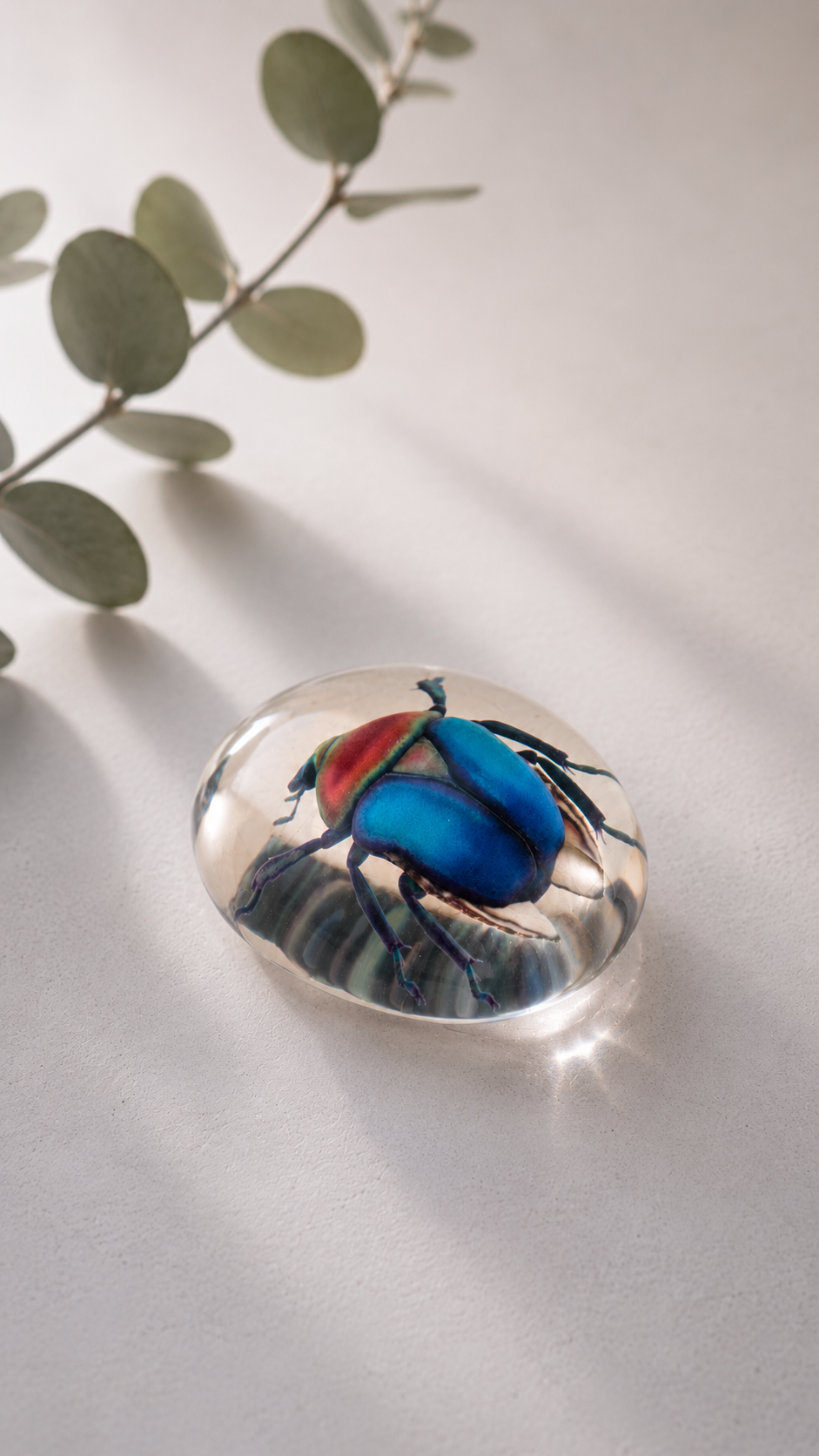 Transparent Models